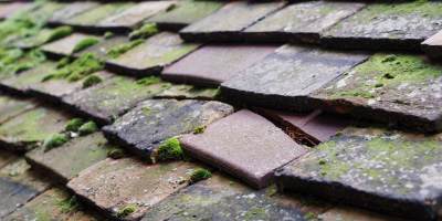 Rudgeway roof repair costs